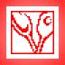 EGS CALCMENU (free version) download for PC.